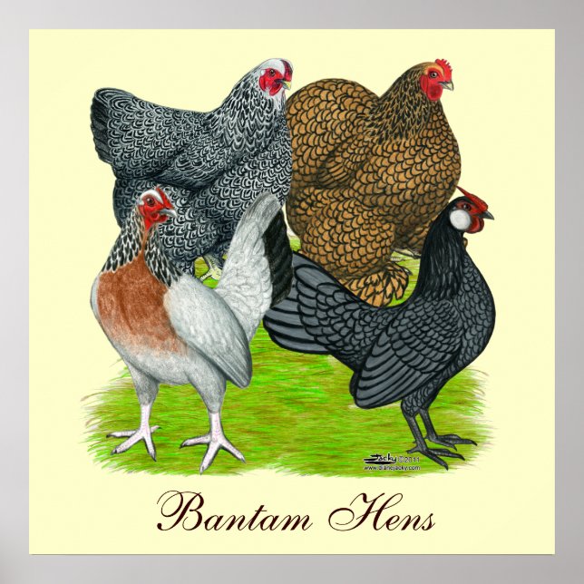 Bantam Hen Quartett, Bantam Hens Poster (Vorne)