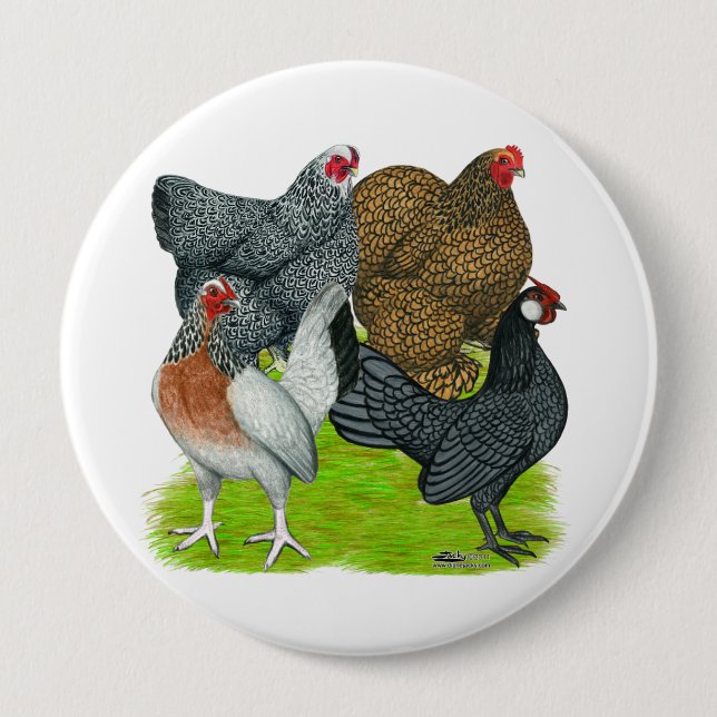 Bantam Hen Quarttet Button (Vorderseite)