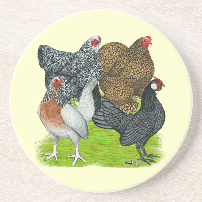 Bantam Hen Quarttet Sandstein Untersetzer (Vorne)