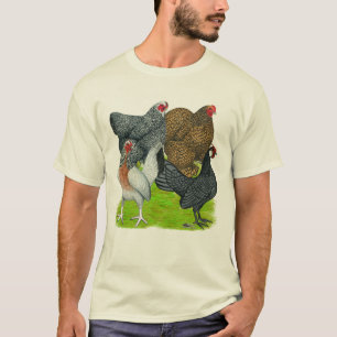 Bantam Hen Quarttet T-Shirt