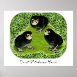 Bantam-Hühner im Garten Poster