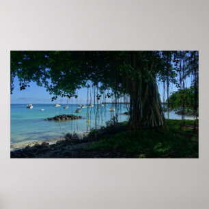 Banyan am Strand Poster