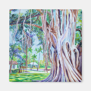 Banyan-Baum in Waimea Plantation Cottages  Magnet