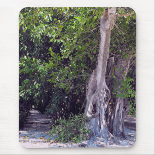 Banyan Street Mousepad