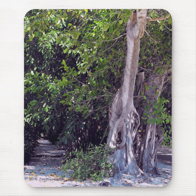 Banyan Street Mousepad (Vorne)