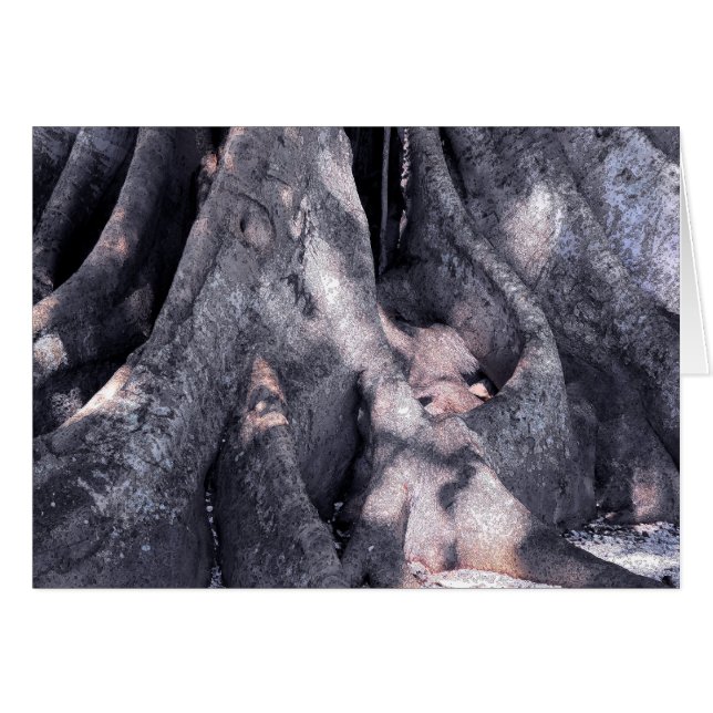 Banyan Tree (Vorderseite (Horizontal))