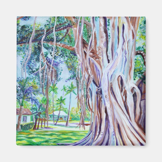 Banyan Tree bei Waimea Plantation Hütten Magnet (Vorne)
