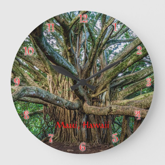 Banyan Tree entlang des Pipiwai Wandern Große Wanduhr (Vorderseite)