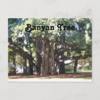 Banyan Tree