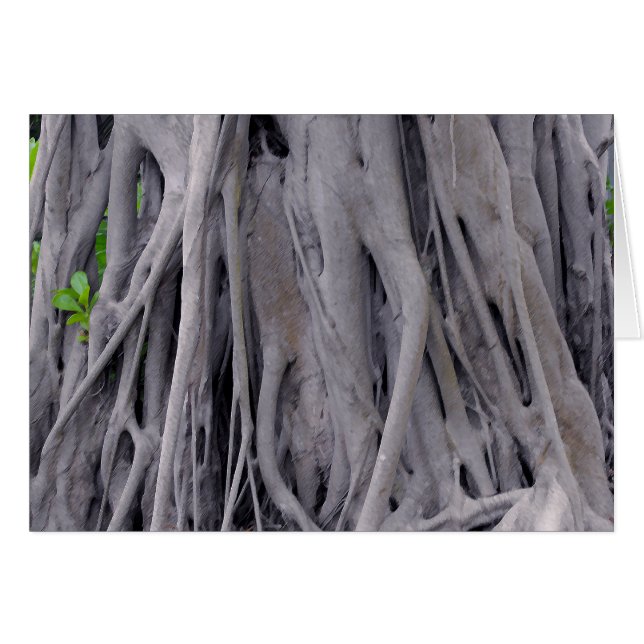 Banyan Tree Trunk (Vorderseite (Horizontal))
