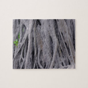 Banyan Tree Trunk Puzzle