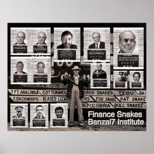 Banzai7 Finanzschlangen Poster