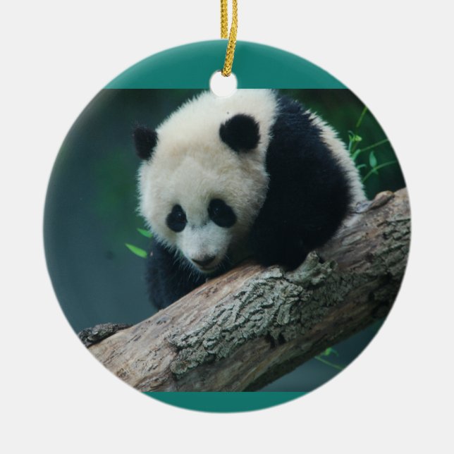 Bao Bao großer Panda CUB verzieren Keramikornament (Vorne)