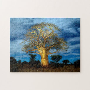 Baobab (Adansonia) Baum vom Mondlicht beleuchtet Puzzle
