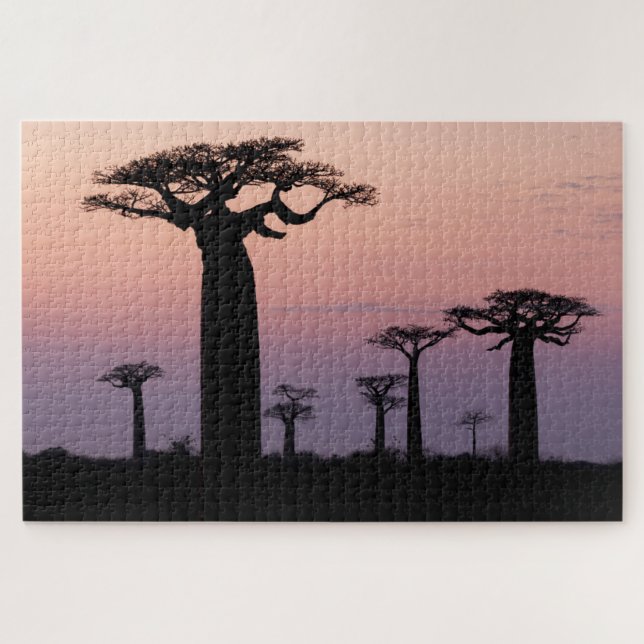 Baobab-Allee', Madagaskar, Morondava, Afrika, Puzzle (Horizontal)