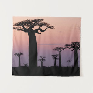 Baobab Alley', Madagaskar, Morondava, Afrika, Wandteppich