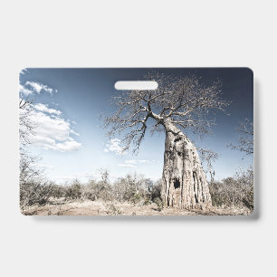 Baobab-Baum im Mana-Pools-Nationalpark, Simbabwe. Ausweis