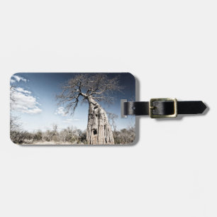 Baobab Tree im Mana Pools National Park, Simbabwe. Gepäckanhänger