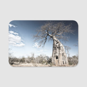 Baobab Tree im Mana Pools National Park, Simbabwe. Namensschild