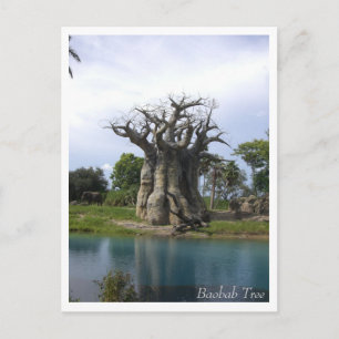 Baobab Tree Postcard Postkarte