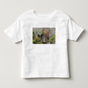 Baos Familiens Garten, Huangshan, China. Kleinkind T-shirt