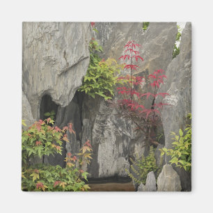 Baos Familiens Garten, Huangshan, China. Magnet