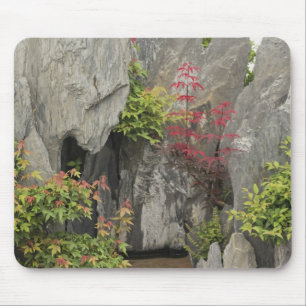Baos Familiens Garten, Huangshan, China. Mousepad