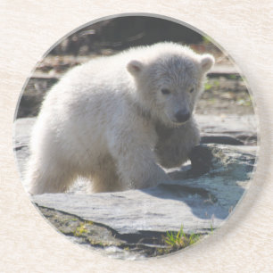 Bär 07 getränkeuntersetzer