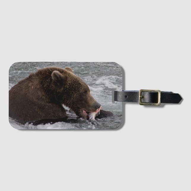 Bär 503 Cubadult Fisherbear Gepäckanhänger 2 (Vorderseite (Horizontal))