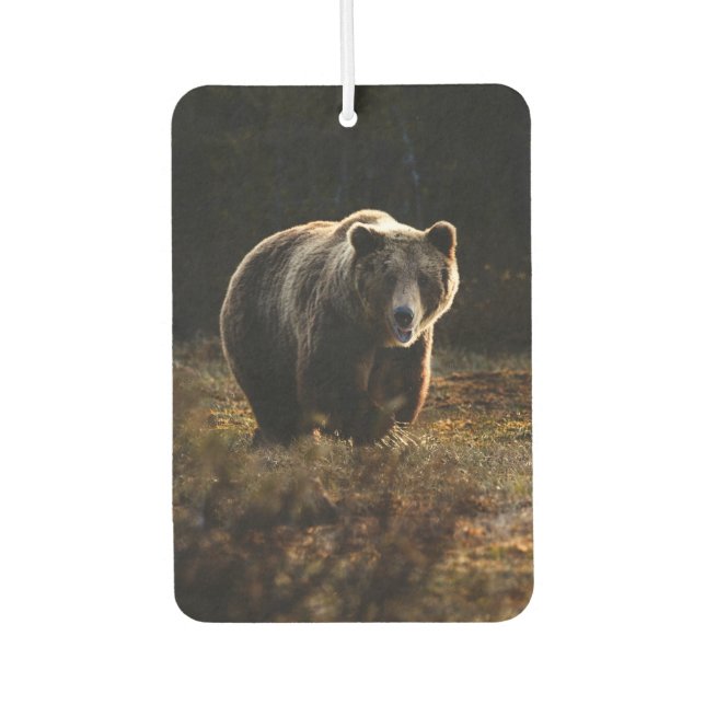Bär Autolufterfrischer (Vorderseite)