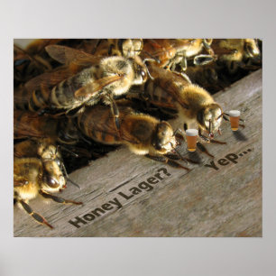 Bar Bees_Honey Lager? Poster