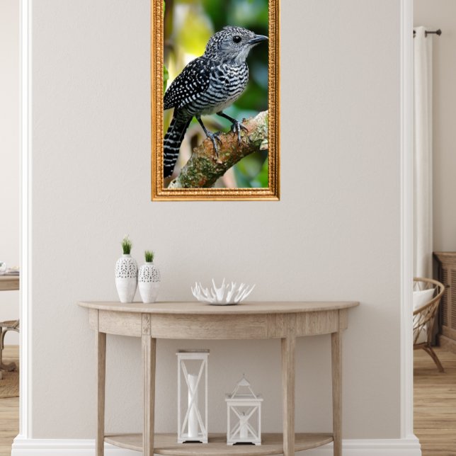 Bar-crested antshrike  poster (Von Creator hochgeladen)