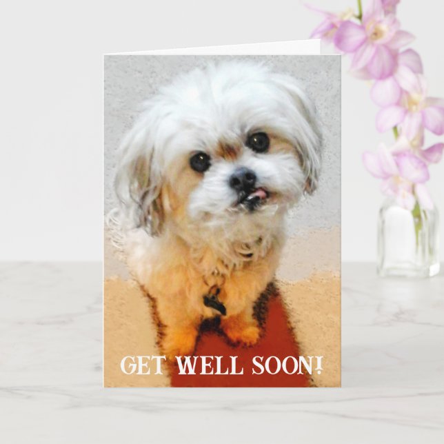 Bär den Malshi Get Well Card Karte (Orchidee)