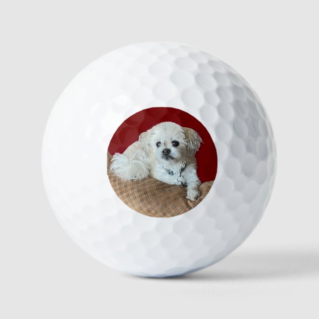 Bär den Malshi Golfball (Vorderseite)