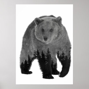 Bär Doppelbelichtung Wald Bäume Nacht Poster