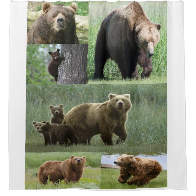 Bär Duschvorhang (Vorderseite)