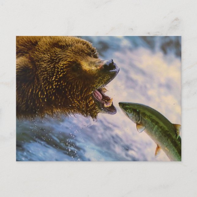 BÄR FISCH WILDES TIER POSTCROSSING POSTKARTE (Vorderseite)