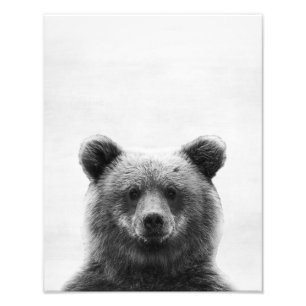 Bär Fotodruck