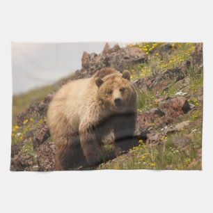 Bär Handtuch