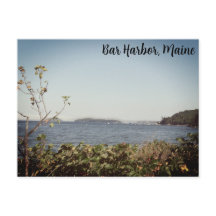 Bar Harbour Cove Postcard
