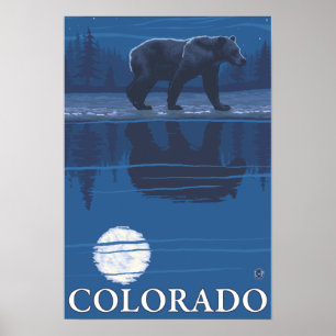 Bär im MondlichtColorado Poster
