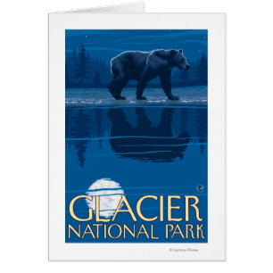 Bär im Mondschein - Glacier Nationalpark, M.Ü.