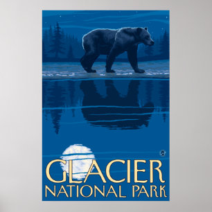 Bär im Mondschein - Glacier Nationalpark, M.Ü. Poster