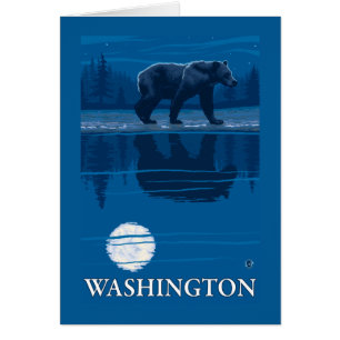 Bär im Mondschein - Washington