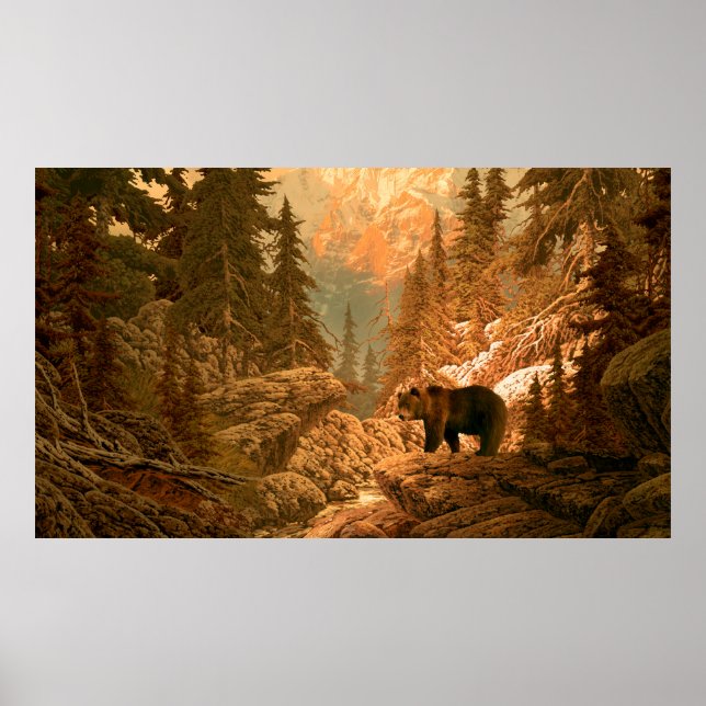 Bär im Rocky Mountainbike, braun, tierisch, grizz Poster (Vorne)