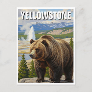 Bär im Yellowstone Nationalpark Souvenir Postkarte