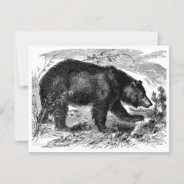 Bär in der Prärie Postkarte