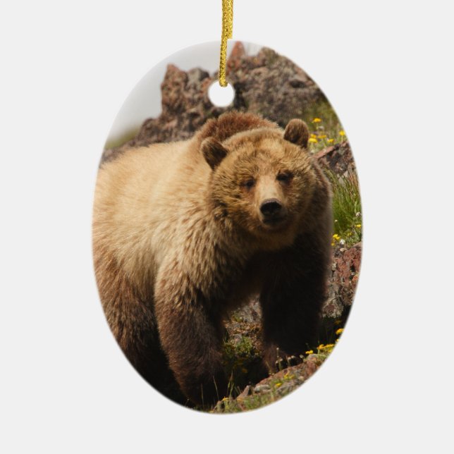 Bär Keramikornament (Vorne)