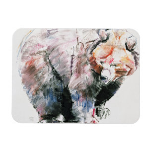 Bär Magnet