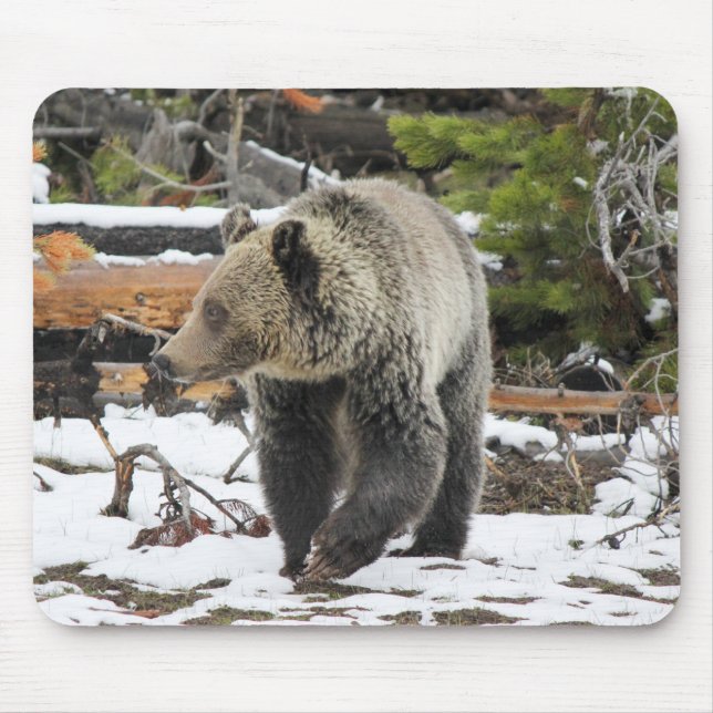 Bär Mousepad (Vorne)